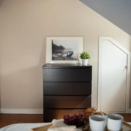 Apartment Spacious Apt, Big Roof Terrace, Free Parking