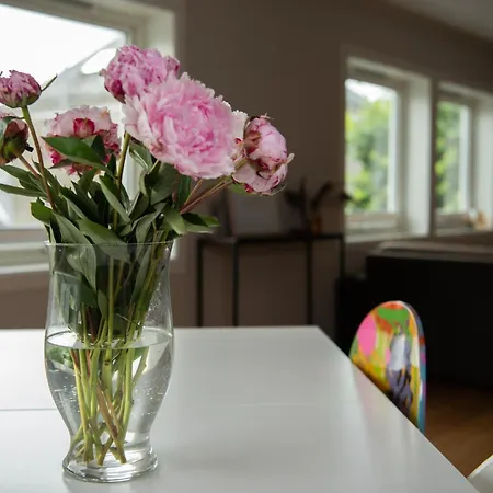 Appartement Spacious Apt, Big Roof Terrace, Free Parking *