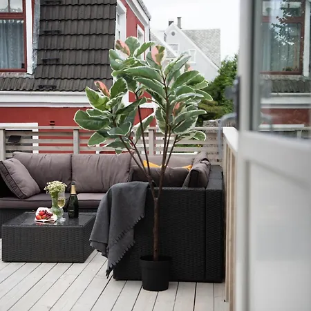 Appartamento Spacious Apt, Big Roof Terrace, Free Parking